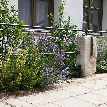 Ubytovani Na Statku Vedomice Exterior foto